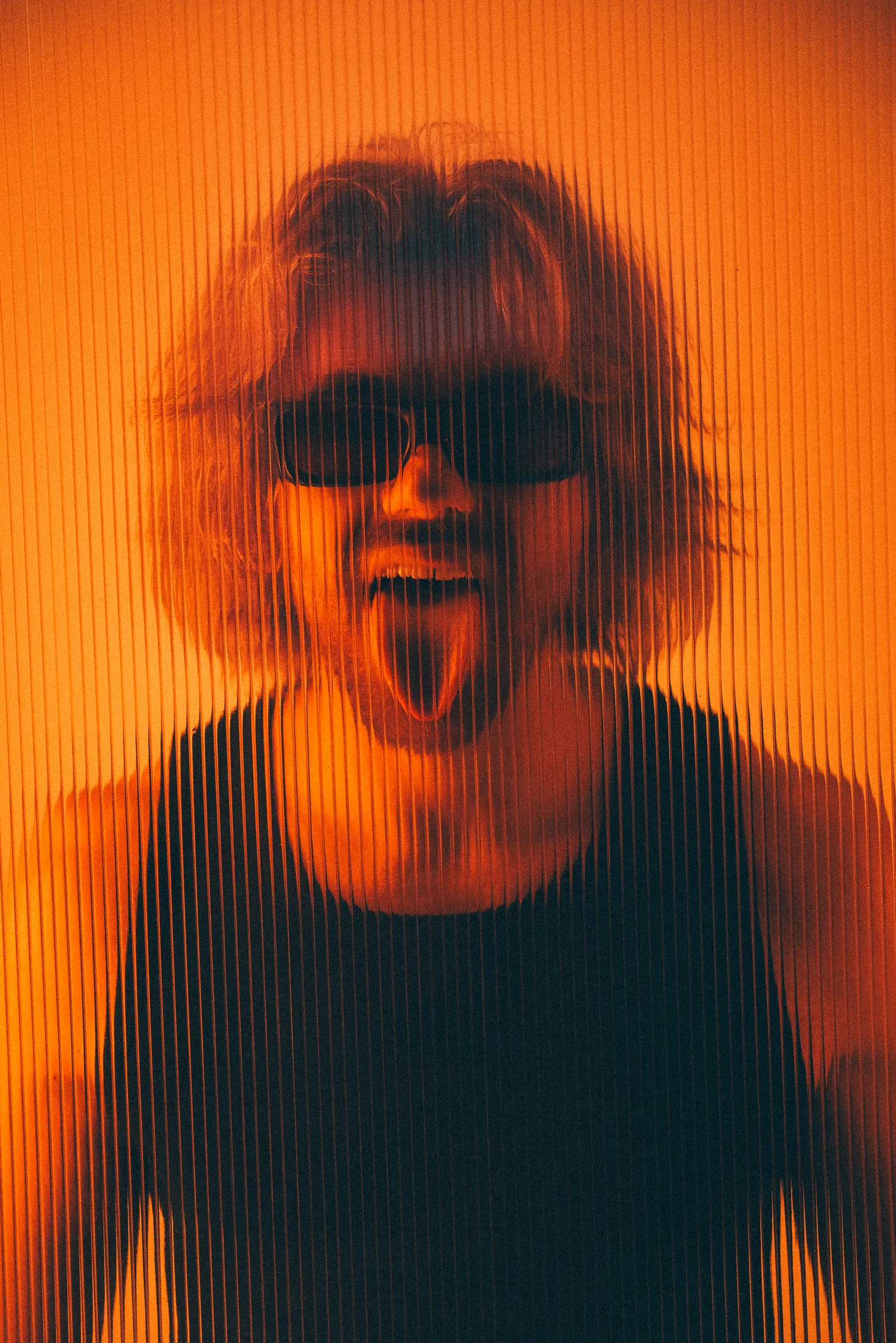 Goldcher portrait in orange light